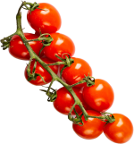 Tomaten Bundle