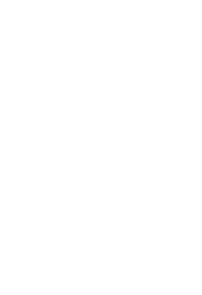 Section Background 2