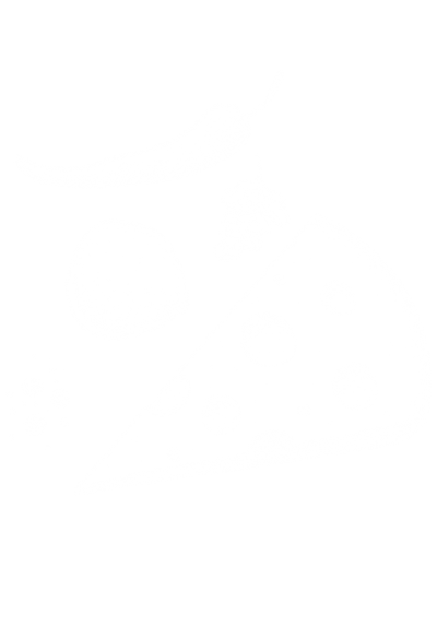 Section Background 3